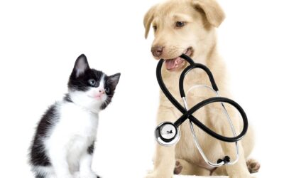 Keeping Pets and People Healthy